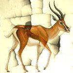 دانلود آهنگ دوستان عزیز هم اکنون آهو کامل اینستاگرام