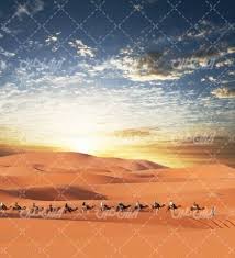 images 21