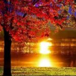 دانلود آهنگ غروب پاییزه اینستاگرام چالش بیس دار ریمیکس +اصلی