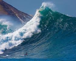 images 7