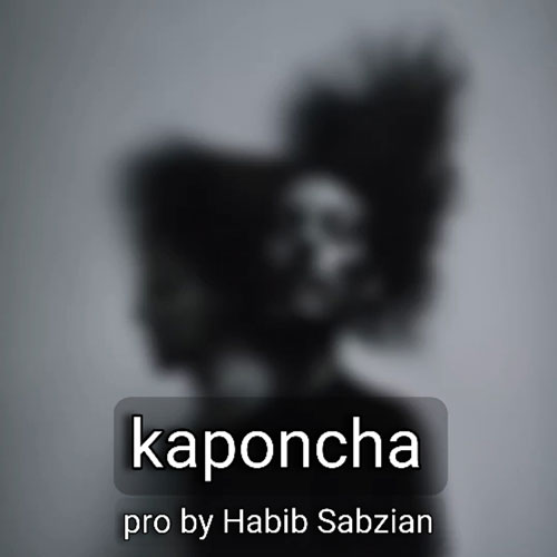 Habib Sabzian kaponcha musicdel.ir